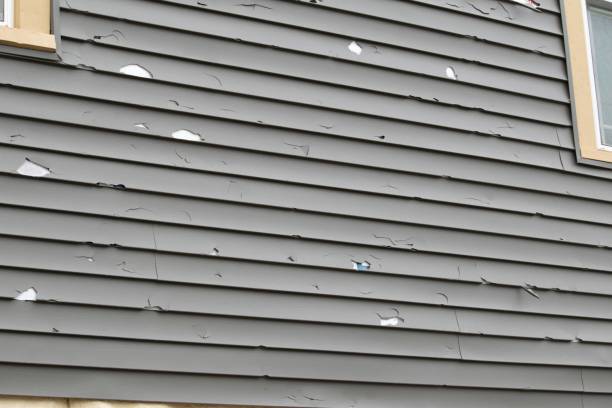 Trusted Neenah, WI Siding Installation & Repair Experts